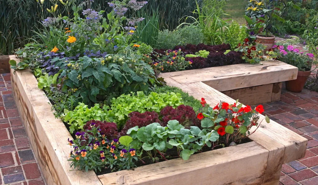 garden bed on pavement