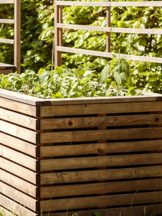 beautiful raised bed