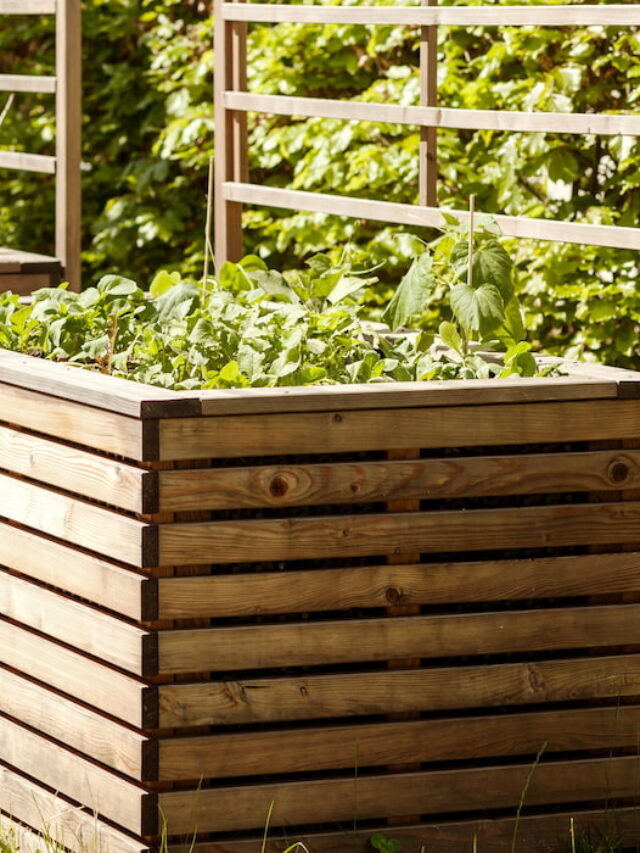 What to Plant in a 4×8 Raised Bed