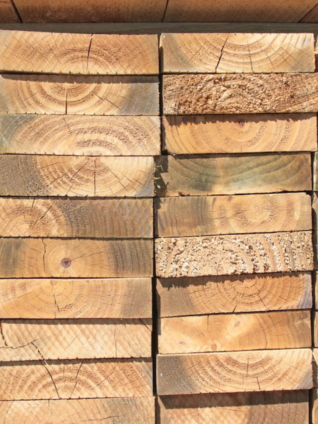 Can You Use Treated Lumber for Raised Beds?