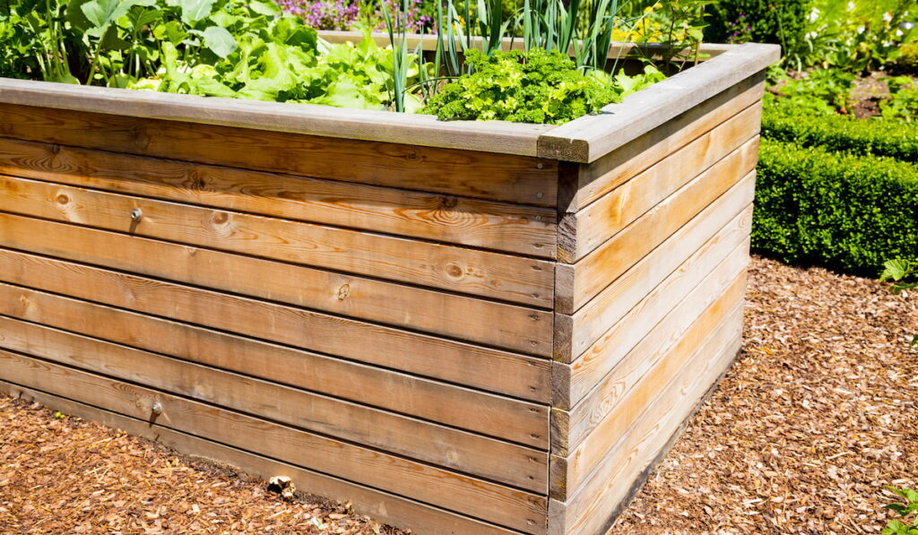 raised garden bed using treated lumber