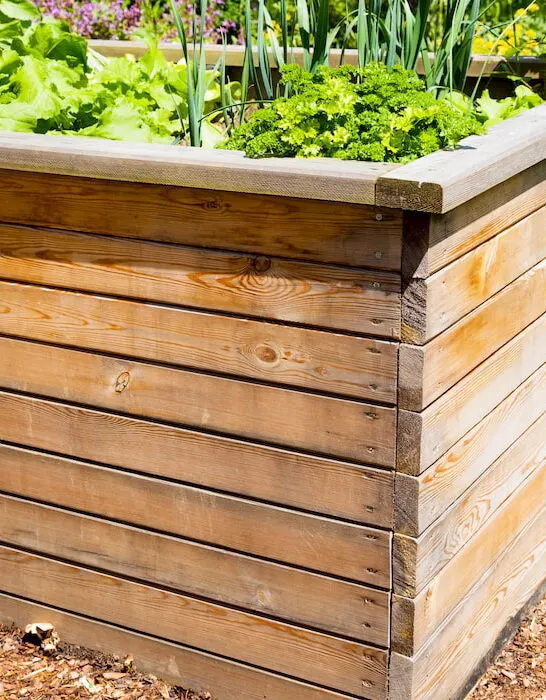 raised garden bed using treated lumber