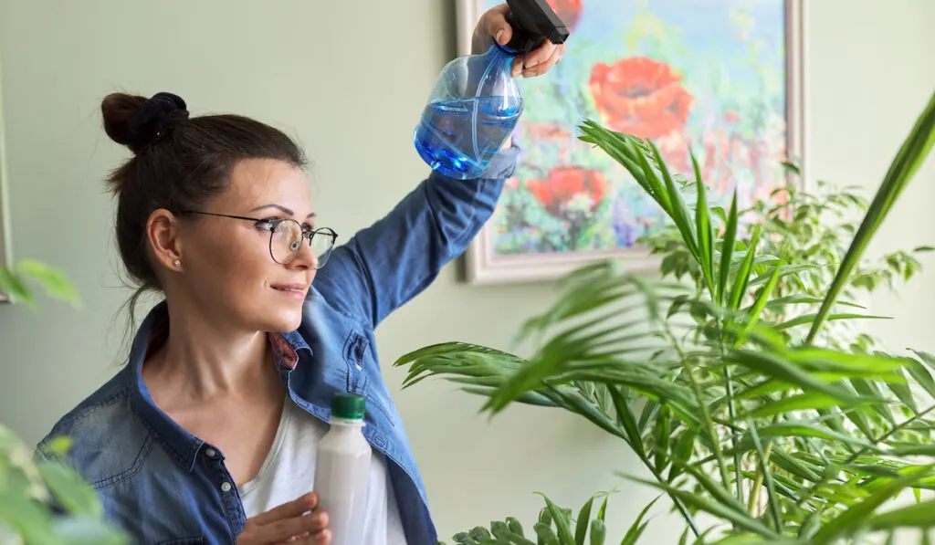woman pouring fertilizer on a plant