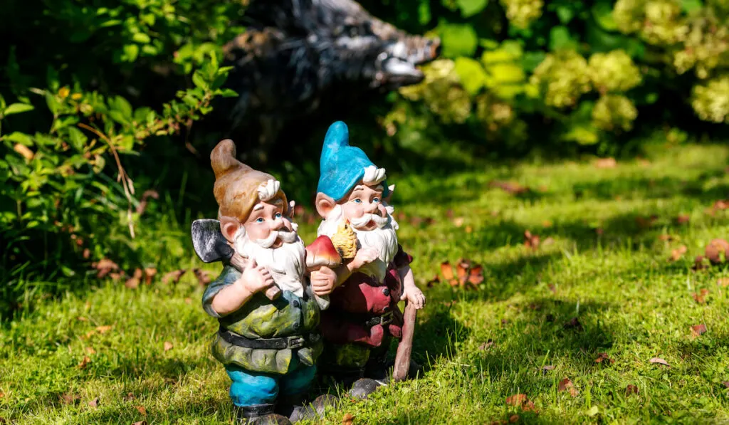 a pair of garden gnomes on a sunny day
