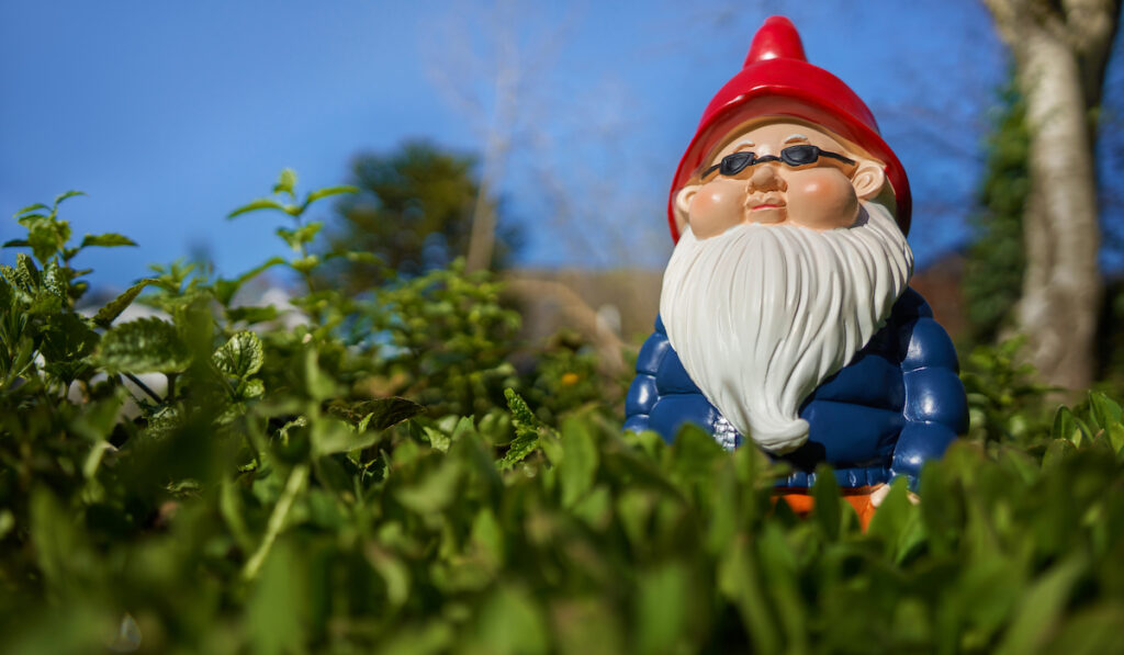 garden gnome with shades