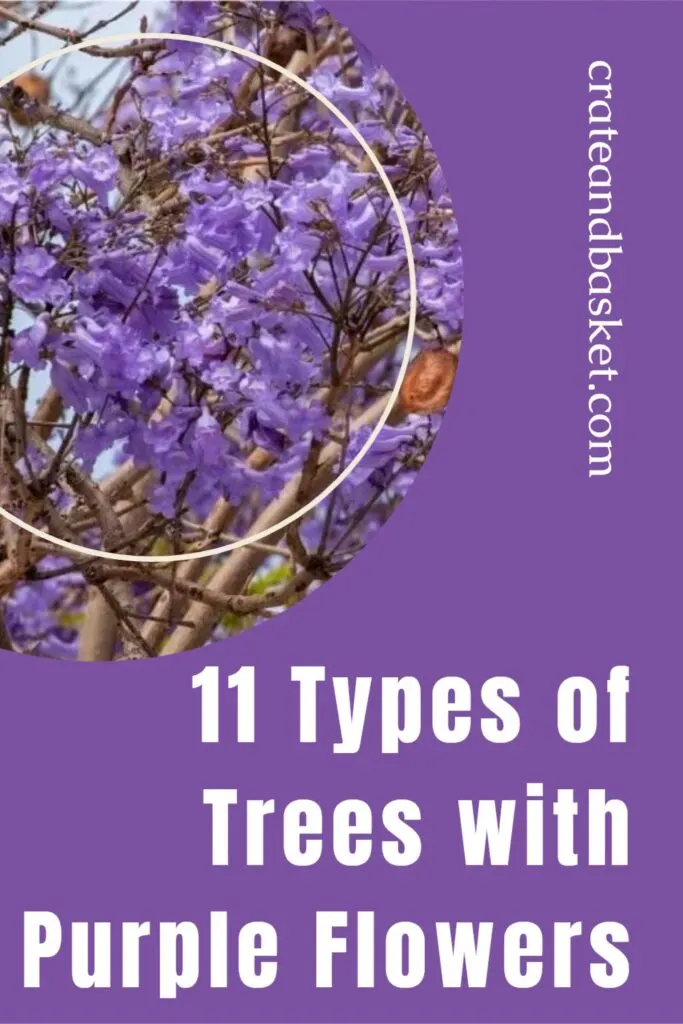 types of trees with purple flowers - pinterest image