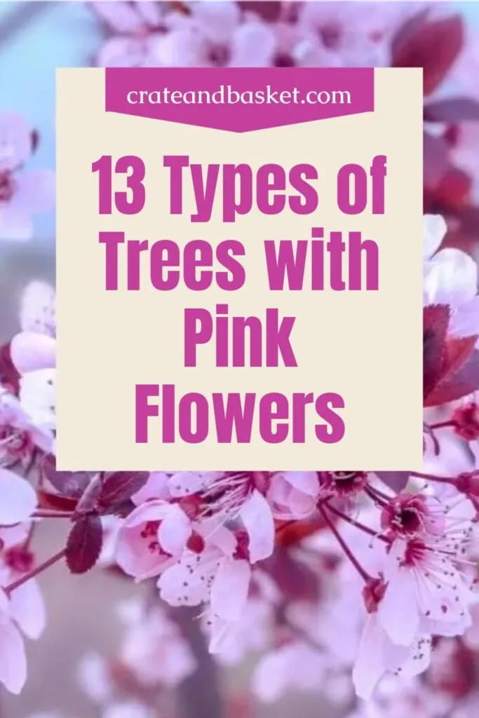 pinterest image - tees with pink flowers