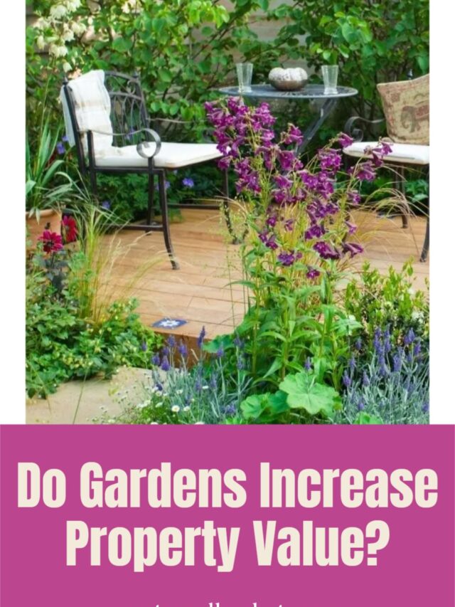 Do Gardens Increase Property Value? Story