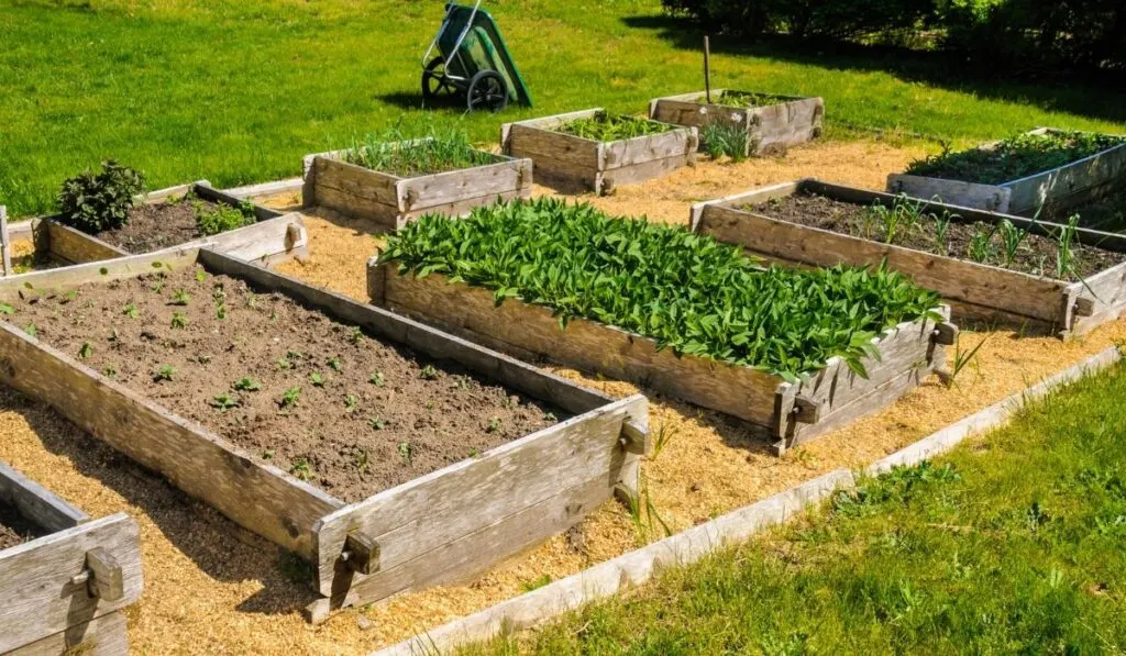 In Ground Garden Beds Vs Raised Crate And Basket - Metal Raised Garden Beds Pros And Cons