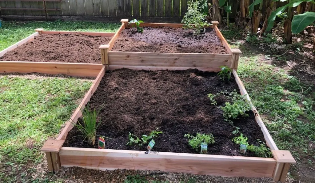 In Ground Garden Beds Vs Raised Crate And Basket - Metal Raised Garden Beds Pros And Cons