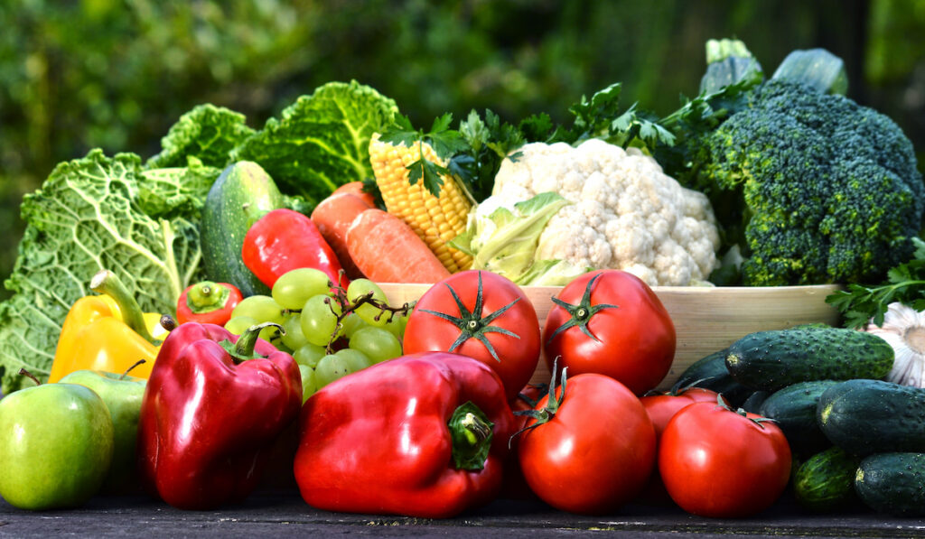 fresh organic vegetable harvest