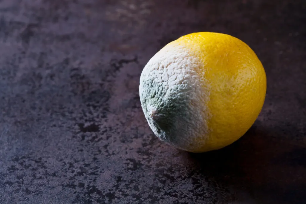a lemon with molds on a marbled platform