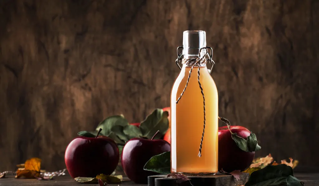 apple cider vinegar