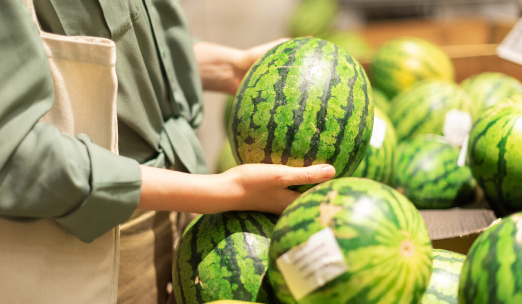 choosing the right watermelon at the supermarket