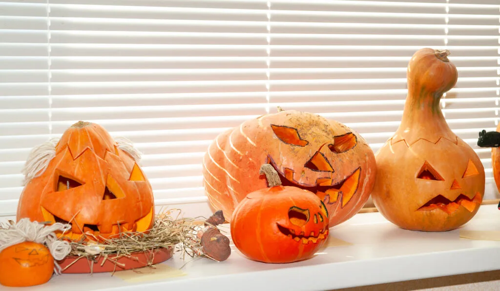 carved pumpkins near window on the table
