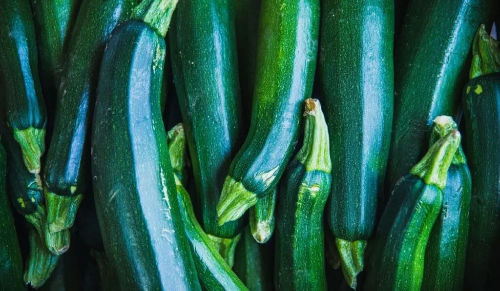 dark green zucchinis