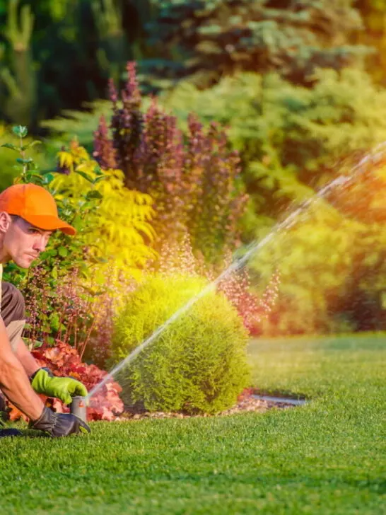 a man installing lawn water sprinkler in the yard