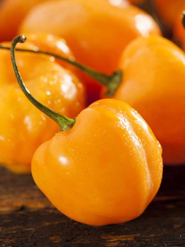 13 Types of Orange Peppers