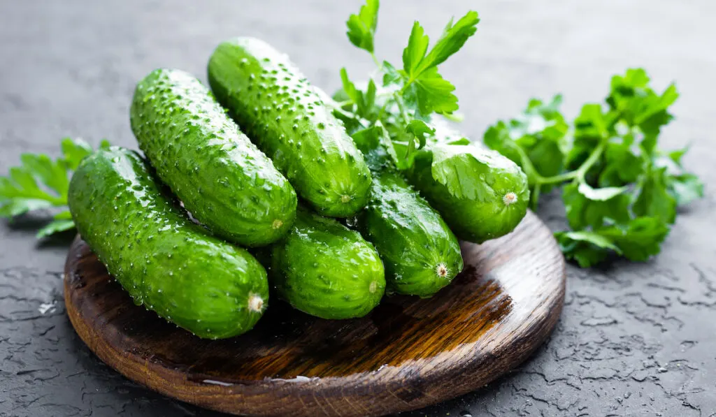 fresh cucumbers on a wooden board