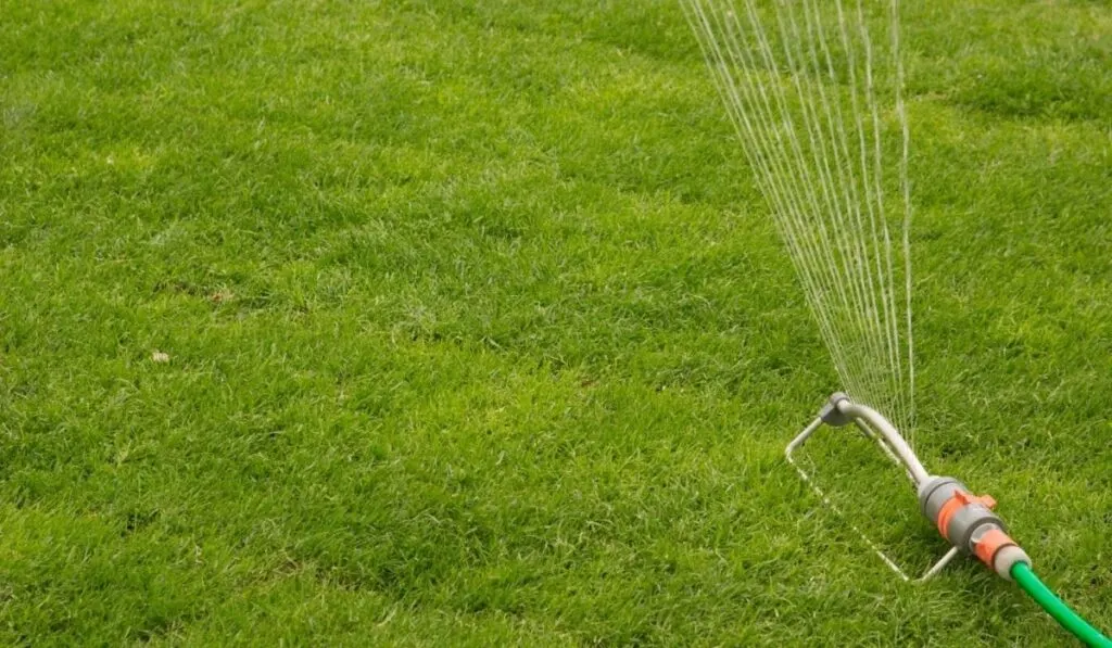 lawn sprinkler spraying water on field
