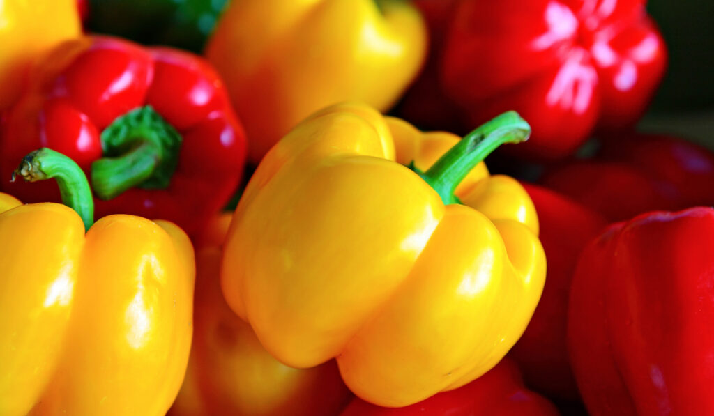 organic sweet peppers