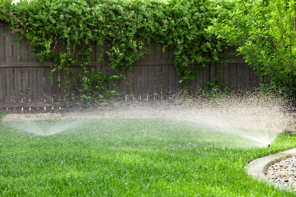 turned on lawn water sprinkler in the backyard