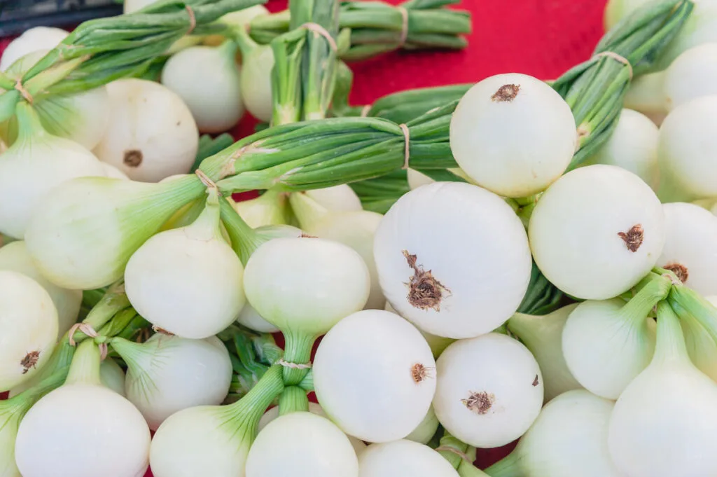 a bundle of walla walla white onions on a red clothing 