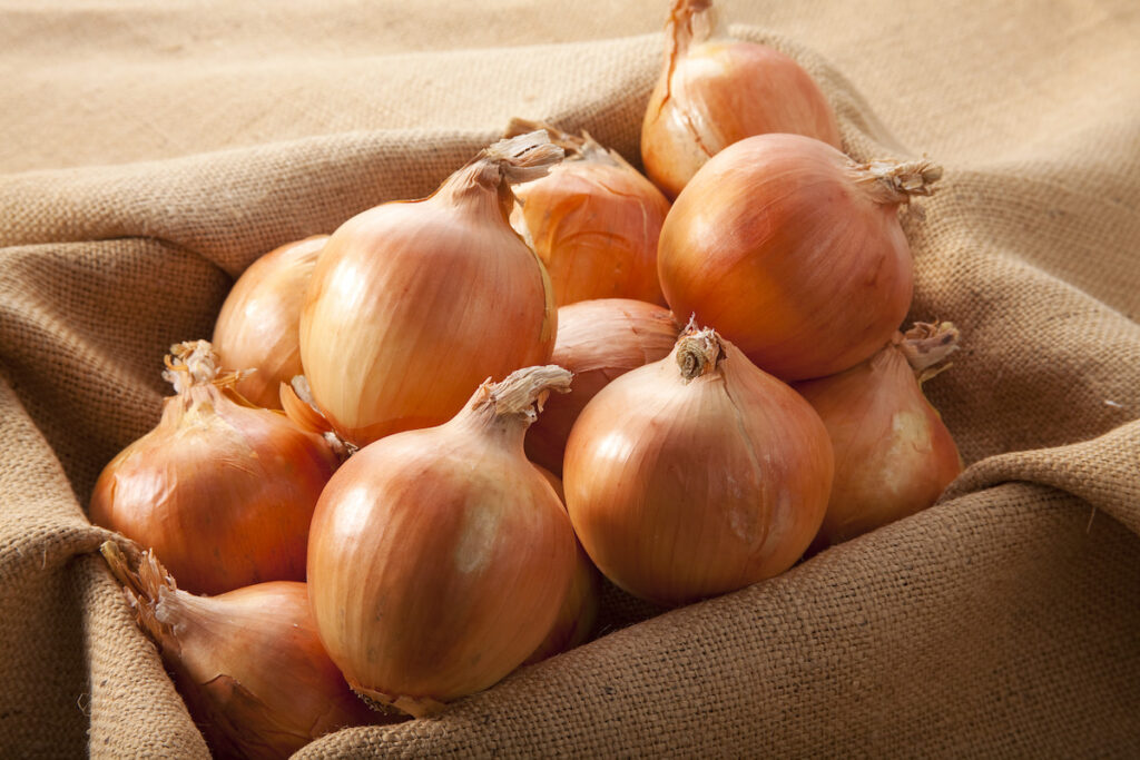 harvested brown onions in a box with a cloth 