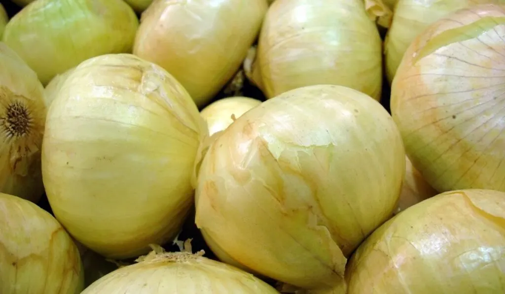white sweet onions