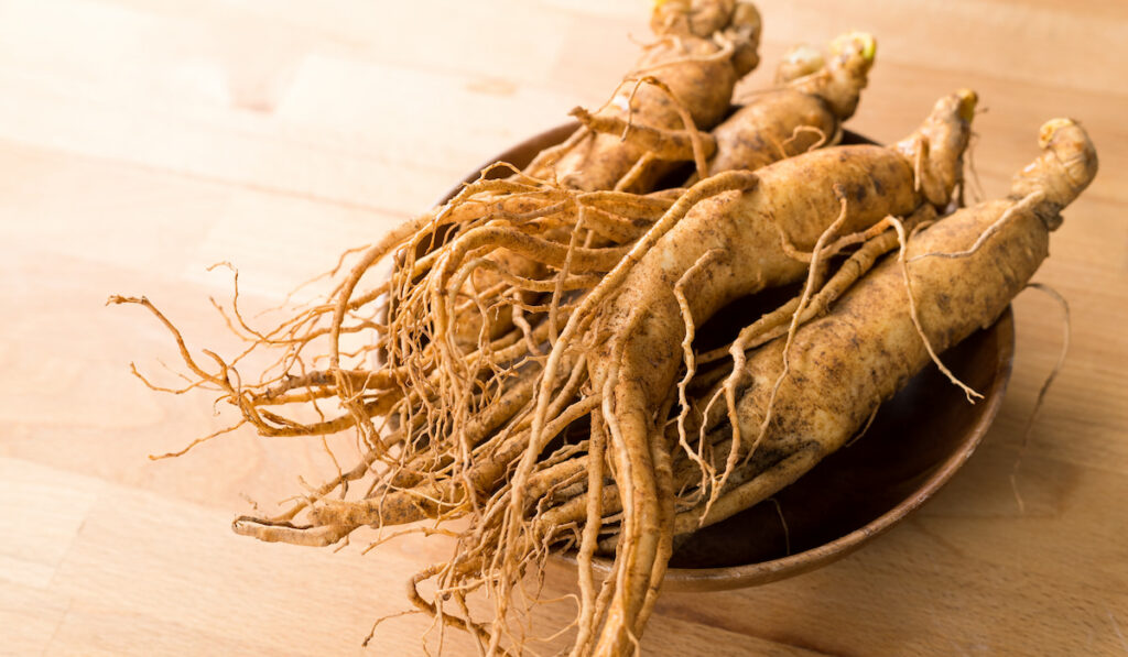 ginseng in a bowl on a wooden table