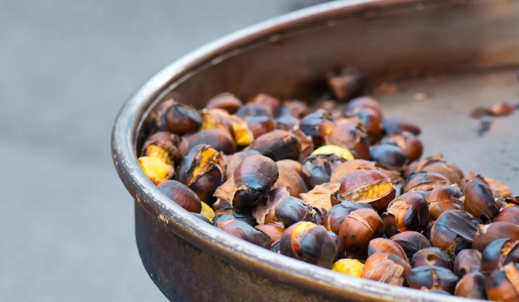 grilled chestnuts in a pan  ee220331 