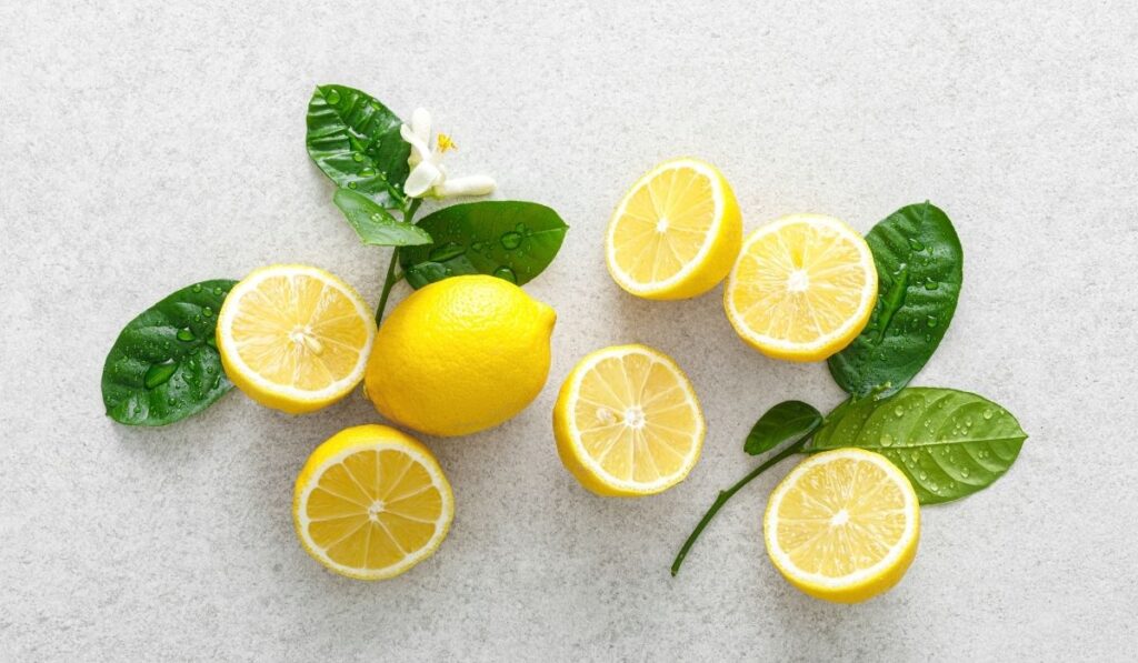 lemons - ee220320