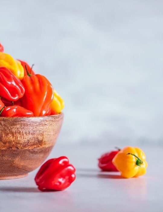 overflowing of yellow and red scotch bonnet peppers in a wooden bowl - ee220401