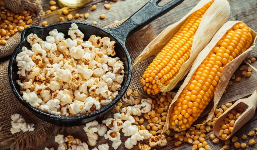 popping corn kernels and cooked popcorn in a skilet - ss220324
