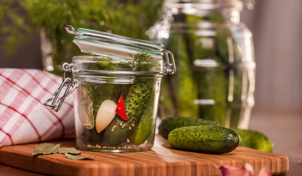prepared cucumbers for pickling - ee220320