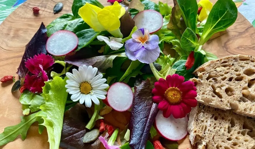 salad with edible flowers - ee220320
