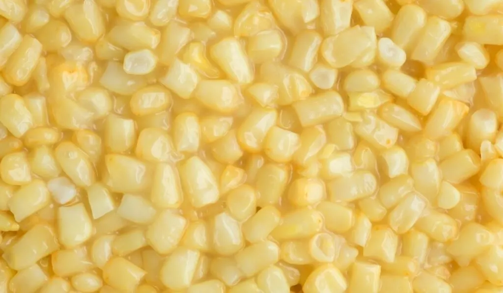 shoepeg white corn with butter - ss220324