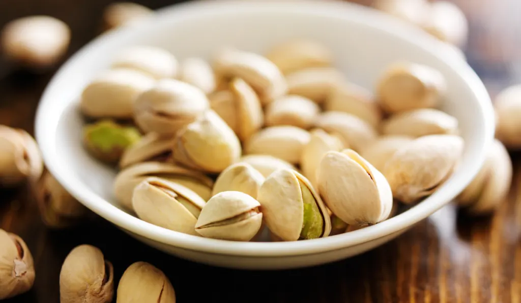 small bowl of macadamia nuts  ee220331 