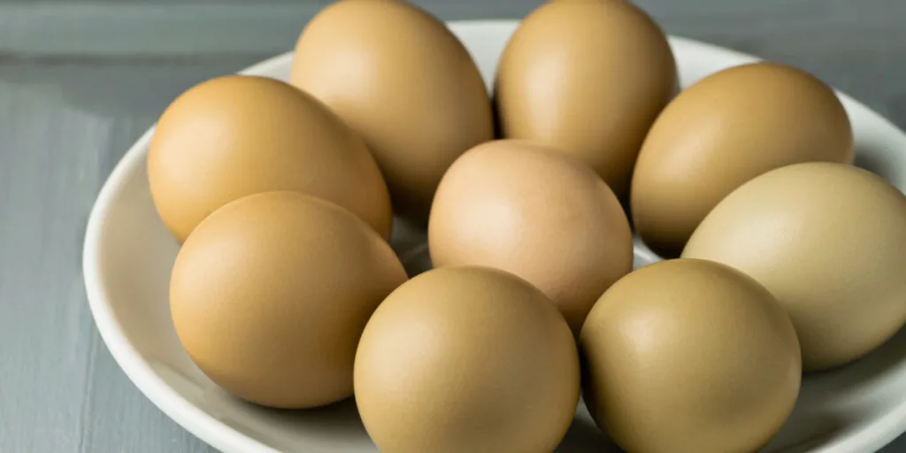 A group of pheasant eggs in a white plate on a gray wooden background