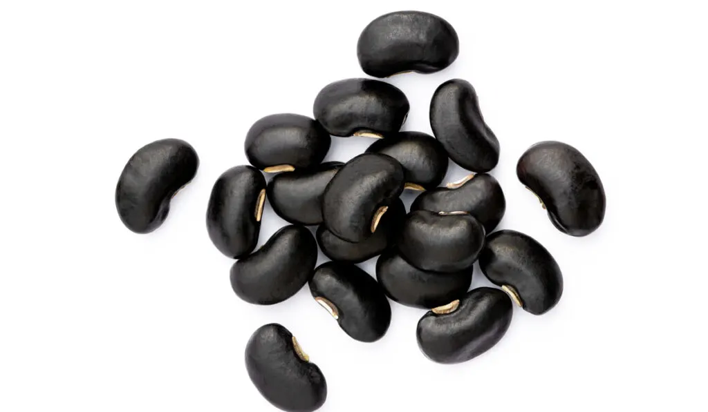 Black beans (Urad dal, black gram, vigna mungo) isolated on white background.