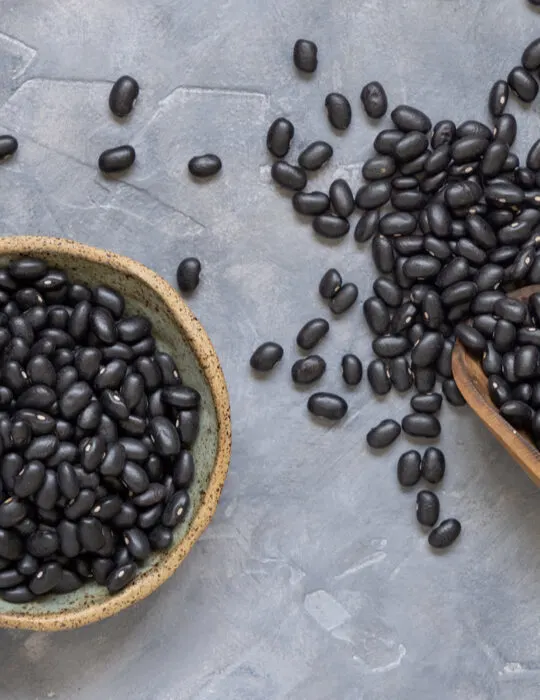 Bowl-full-of-dried-black-beans-with-a-wooden-scoop-on-grey-table-top-view