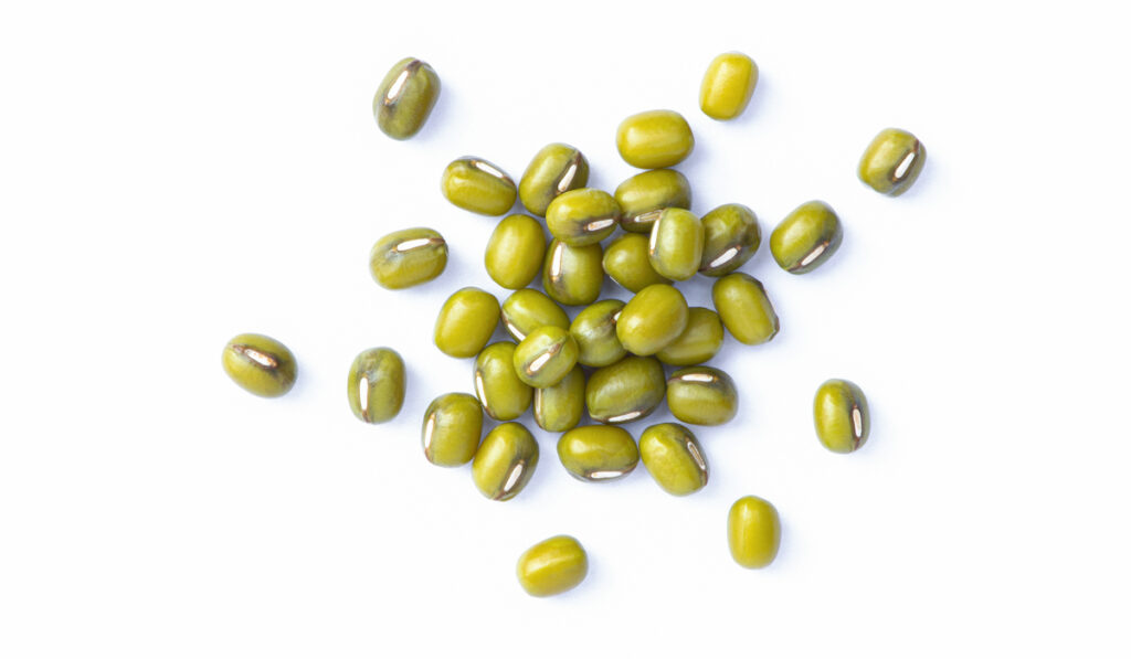 Green mung beans (Vigna radiata) isolated on white background
