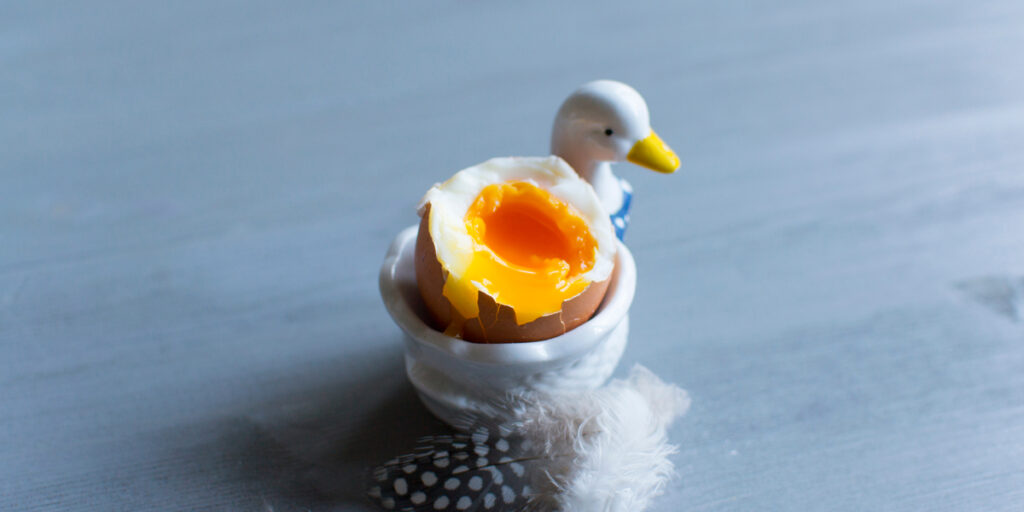 boiled egg on a duck egg holder