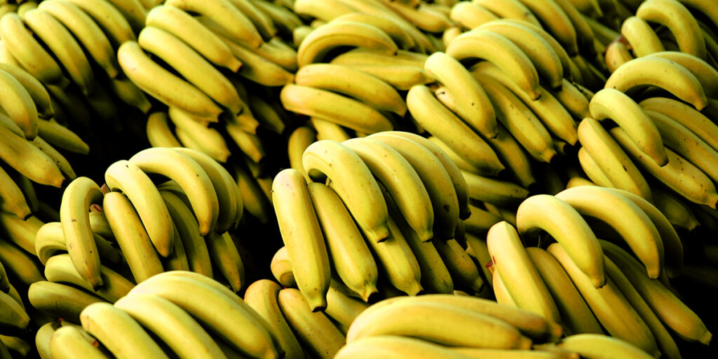 close up ripe Gros Michel banana
