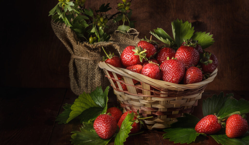 Fresh strawberries in a basket rustic background