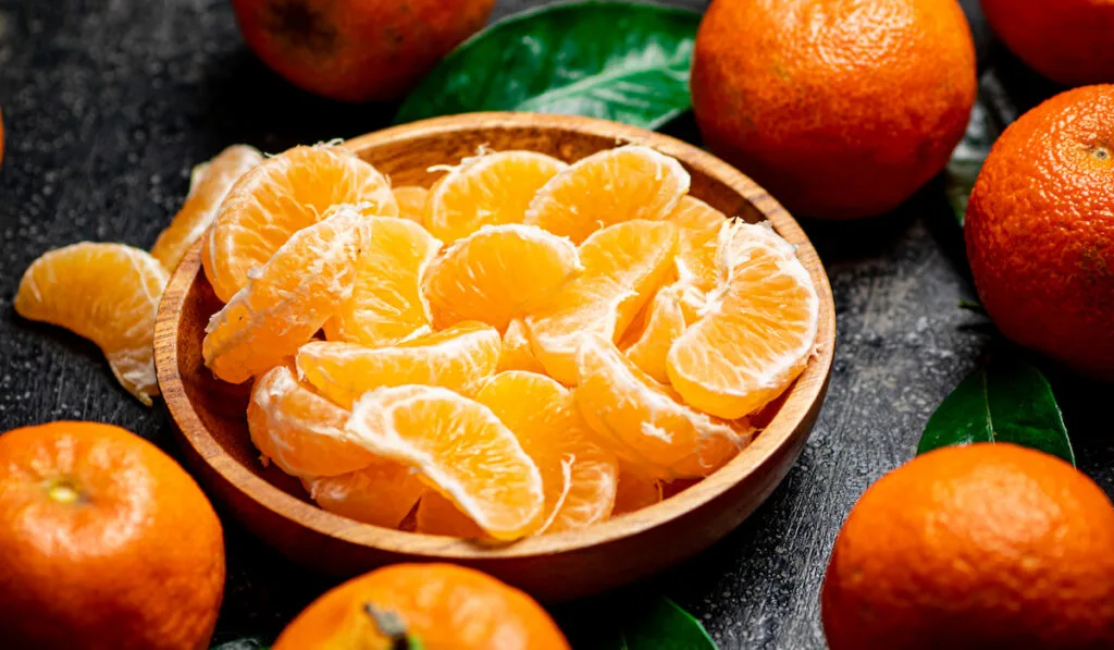 Plate with a fresh tangerines and whole tangerines on black background