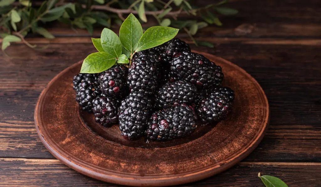 blackberries on a wooden plate