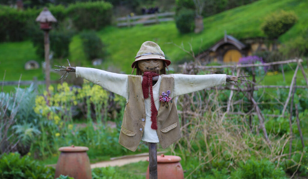 scarecrow guarding plants on garden 