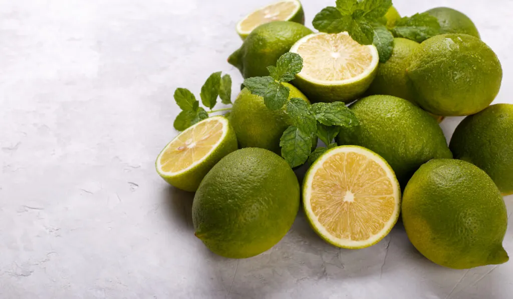 whole and sliced limes with leaves on white background 