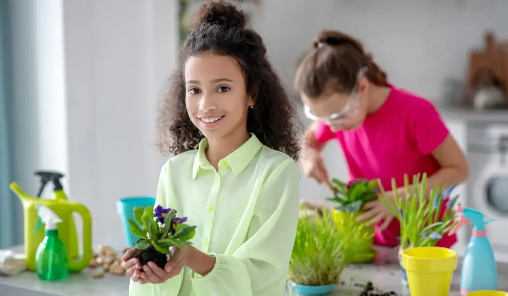 Girl showing african violet with a root on her hand and the other behind